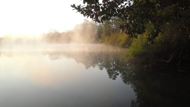 Mist on Lake, J. Clark